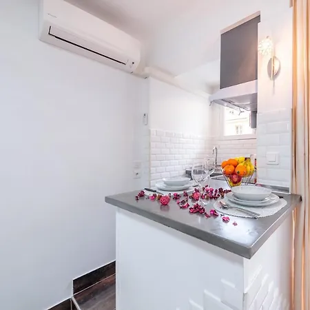 Appartement Beau à 50m De La Nice